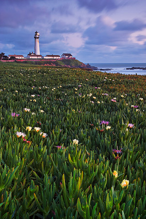 Path To Pigeon Point Lighthouse