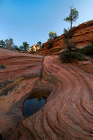 Zion April 2008