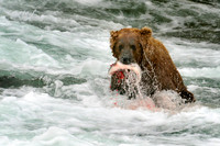 Katmai 2012